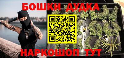 дурь Будённовск