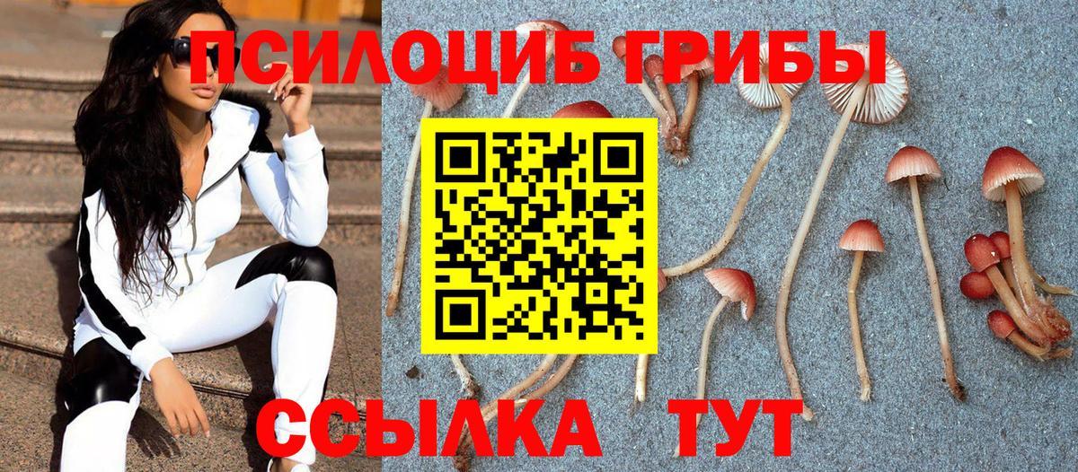 Псилоцибиновые грибы мицелий Кушва