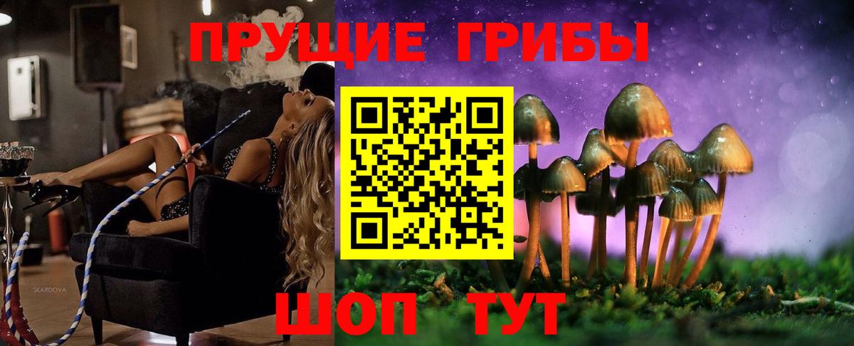 Кушва  Галлюциногенные грибы Magic Shrooms  Вход с VPN  Псилоцибиновые грибы мицелий 