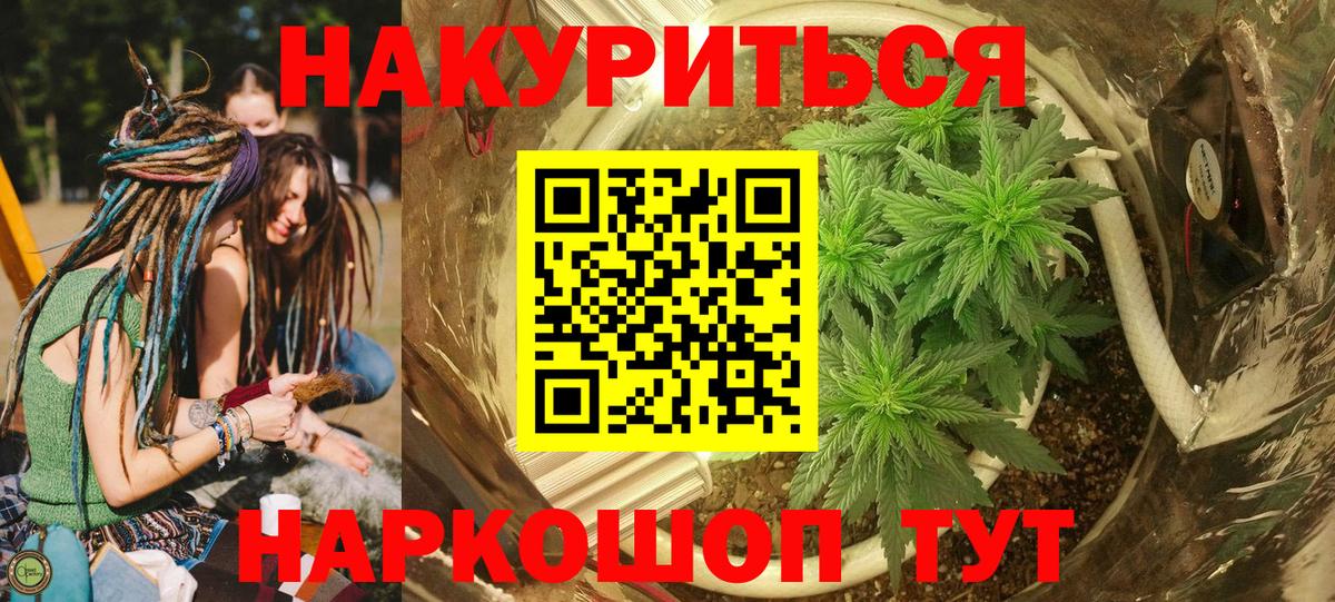 Бошки Шишки SATIVA & INDICA  Вход с VPN  Марихуана планчик  Кушва 
